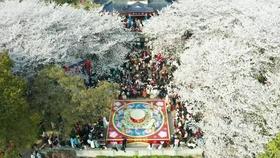 市八届人大四次会议通过的六项决议