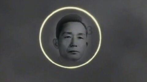 行经斑马线未减速酿事故