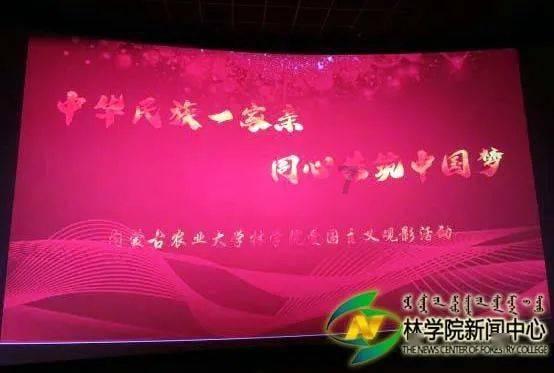棒球训练赛