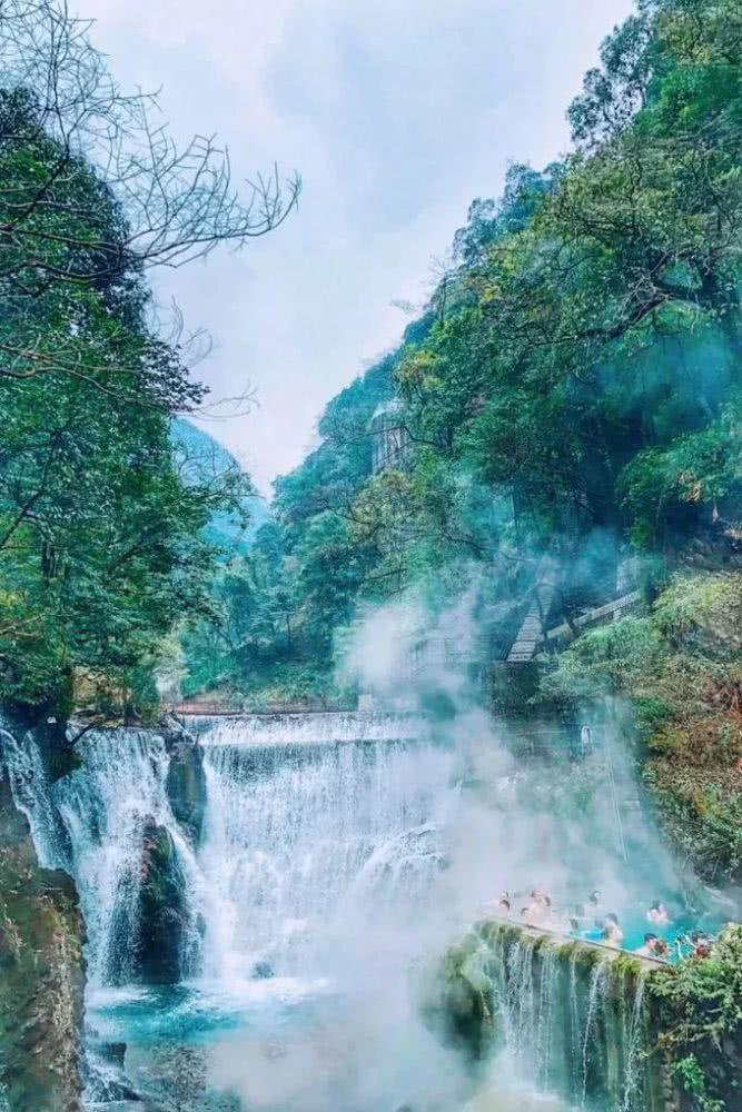 每日一膳 | 气血不足？快来试试海中珍宝+山中药王，双效合一助滋补~广东省中医院杨志敏教授今日推荐