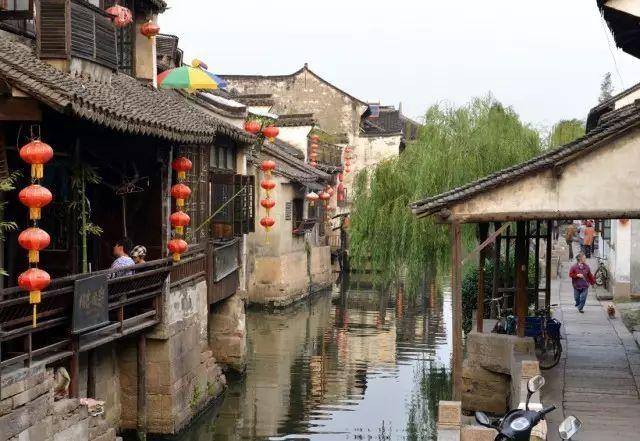 小长颈鹿逃离