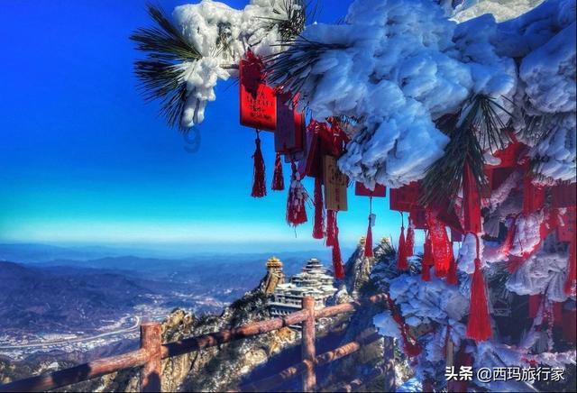 营养快捷的单人午餐，烹饪简单只需10分钟